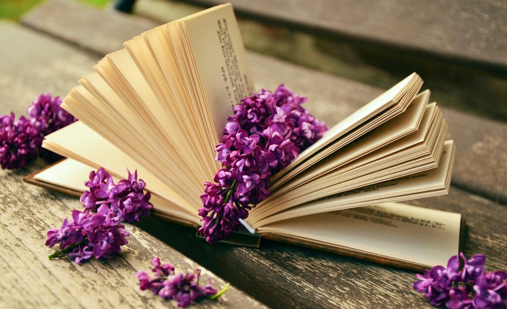 a book, read, relax, lilac, bank, old, book pages, still life, browse, paper, open, leafed through, literature, relax, lilac, lilac, lilac, lilac, lilac, bank, still life, still life, still life, still life, literature